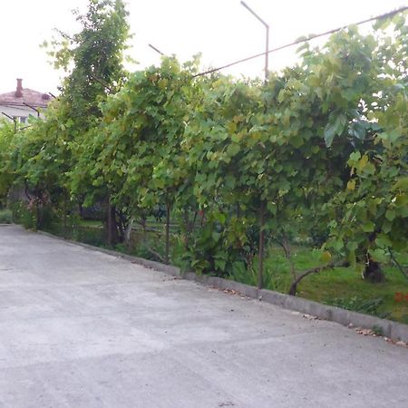 Guest House U Aleny Gagra Exterior foto